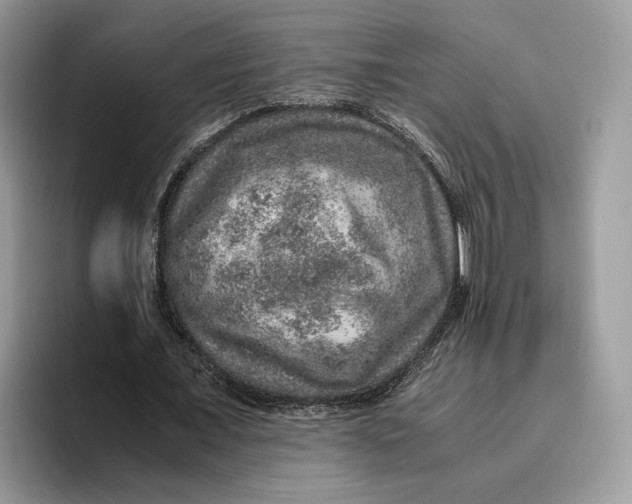 X0000095950675200802011102