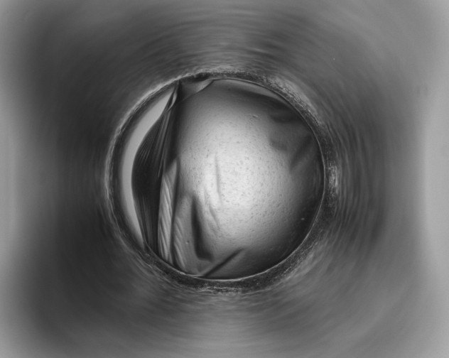 X0000095950676200802011102