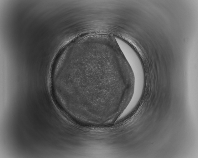 X0000095950677200802011102