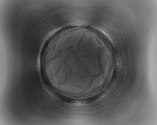 X0000095950678200802011102