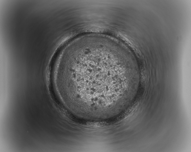 X0000095950679200802011102