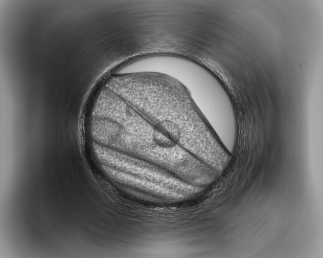 X0000095950680200802011102