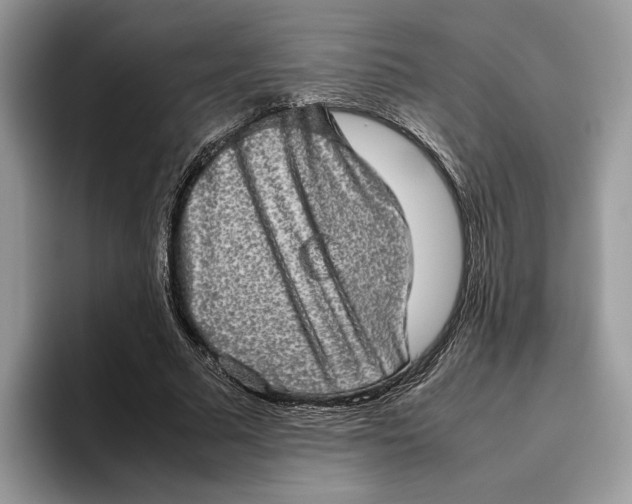 X0000095950681200802011102