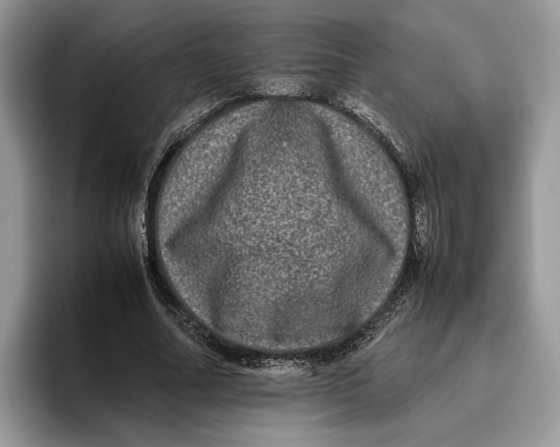 X0000095950682200802011102