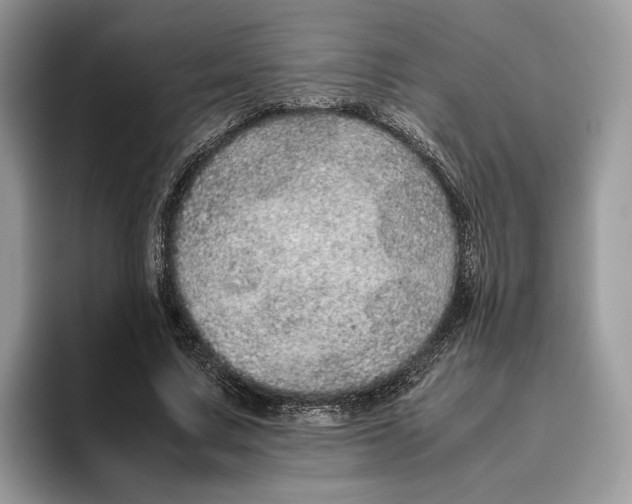 X0000095950683200802011102