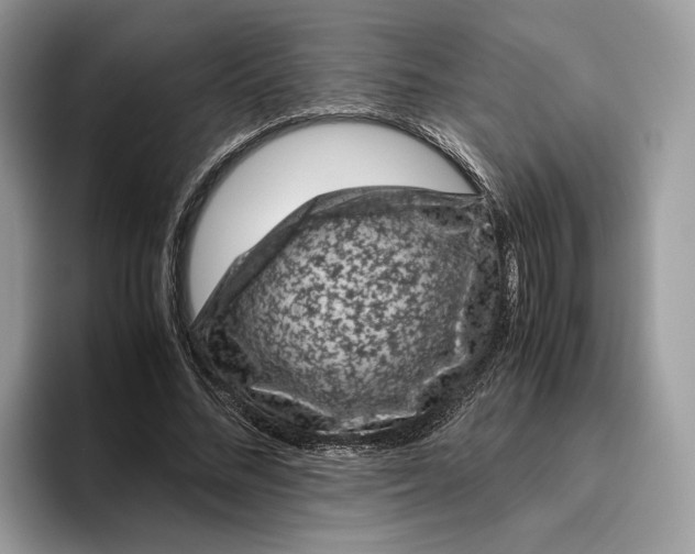 X0000095950684200802011102