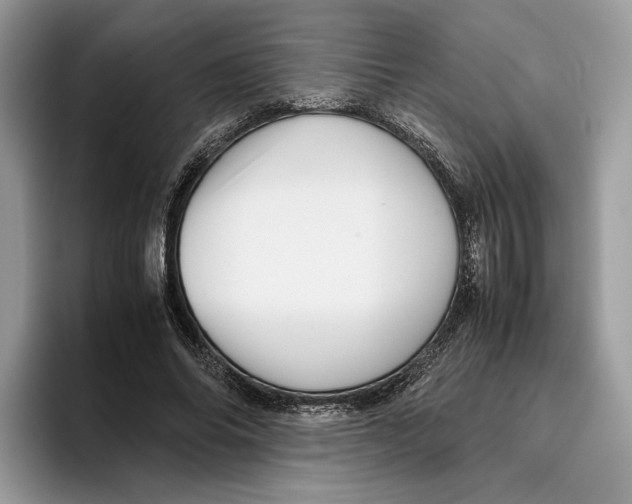 X0000095950686200802011102