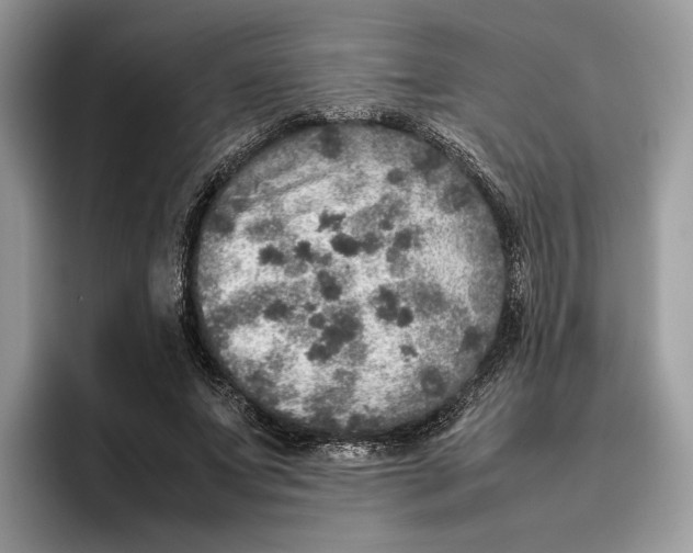 X0000095950687200802011102