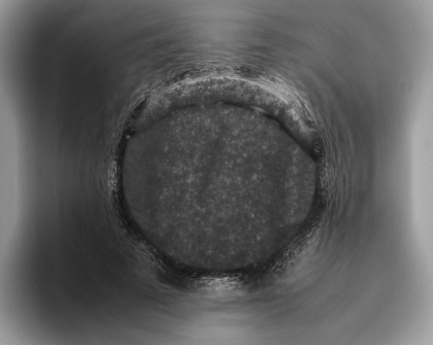 X0000095950689200802011102