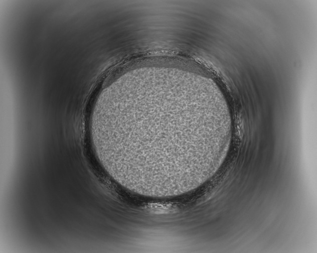 X0000095950690200802011102