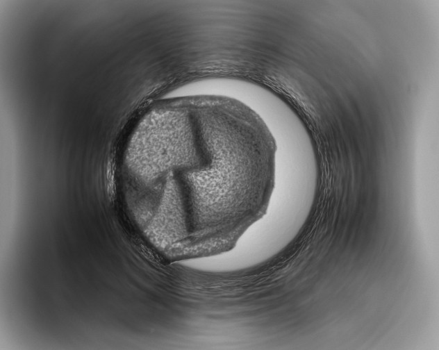 X0000095950692200802011102