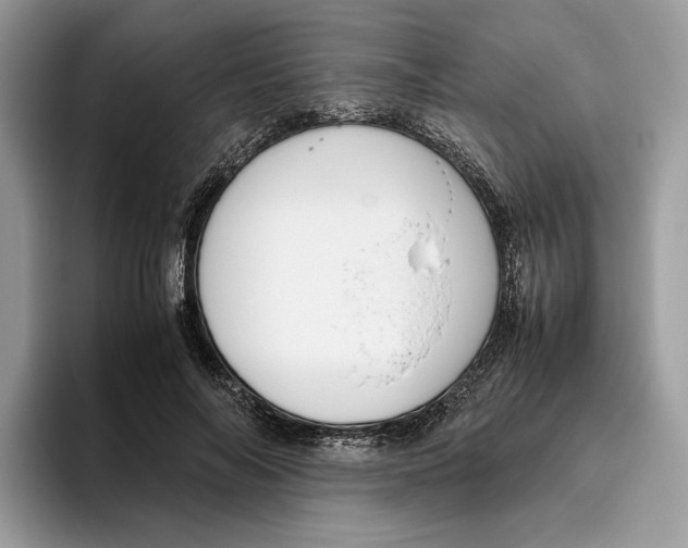 X0000095950694200802011102