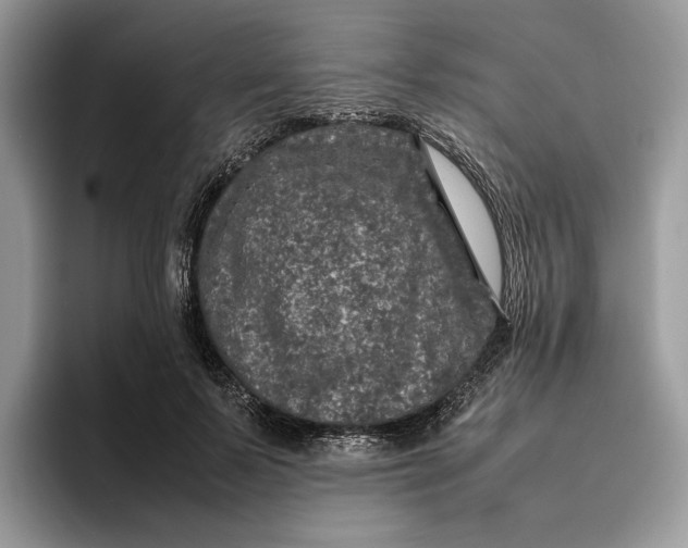 X0000095950695200802011102