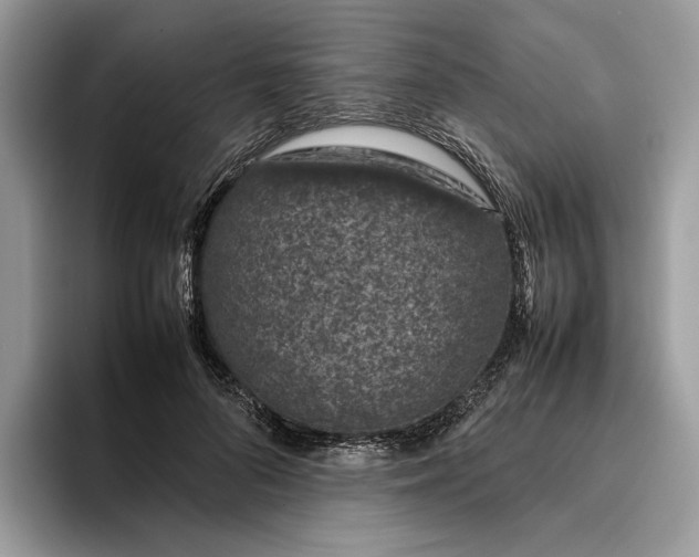 X0000095950696200802011102