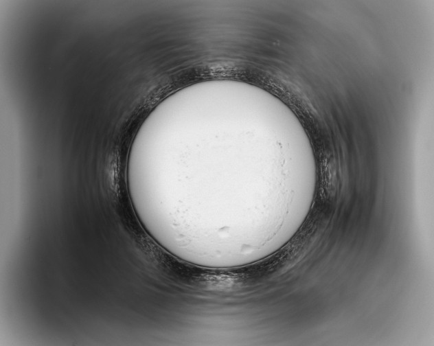 X0000095950698200802011102