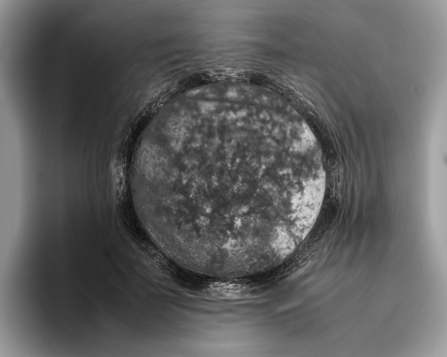 X0000095950699200802011102