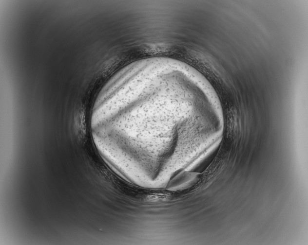 X0000095950700200802011102