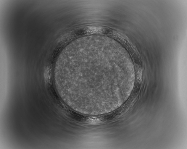 X0000095950701200802011102