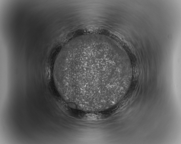 X0000095950703200802011102