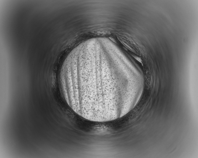 X0000095950704200802011102