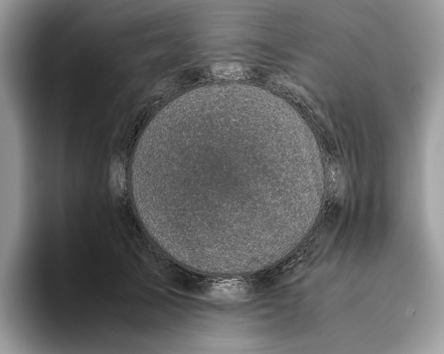 X0000095950705200802011102