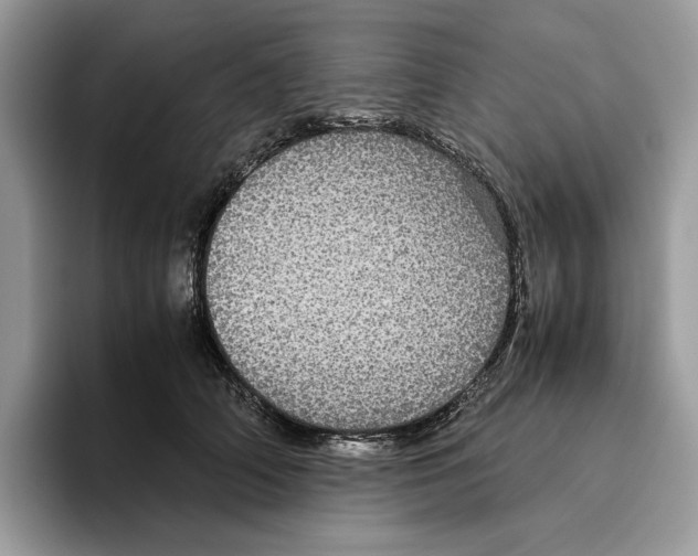 X0000095950706200802011102