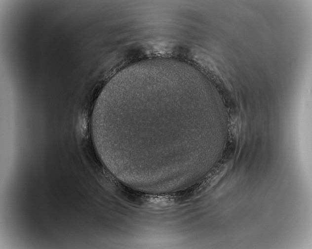 X0000095950709200802011102