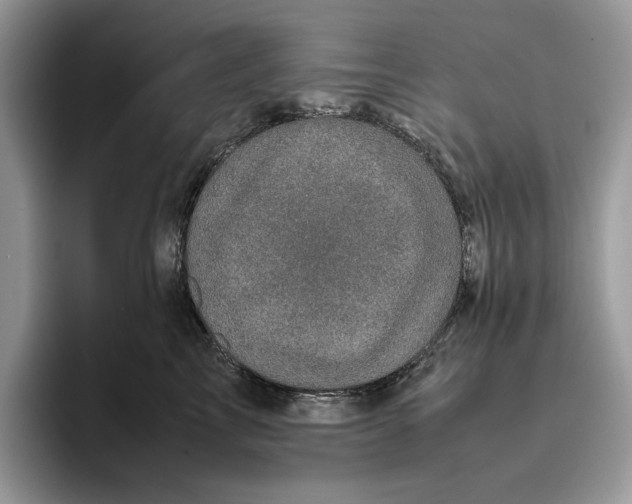 X0000095950713200802011102