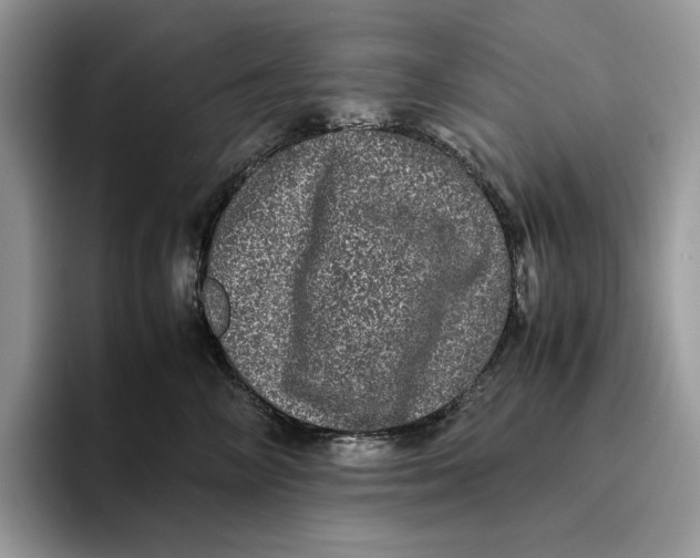 X0000095950714200802011102