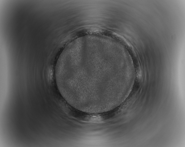 X0000095950715200802011102