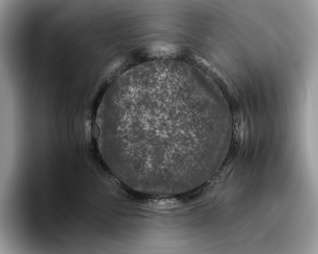 X0000095950716200802011102