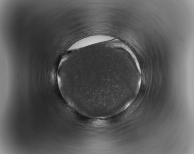 X0000095950718200802011102