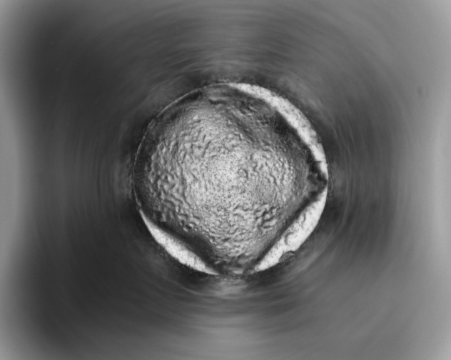 X0000095950719200802011102