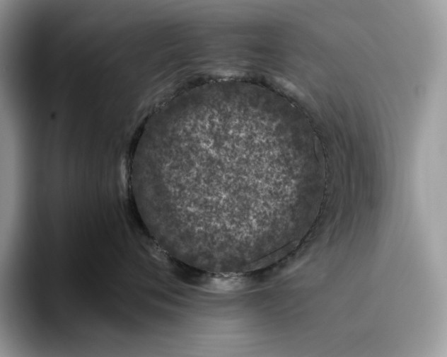 X0000095950720200802011102