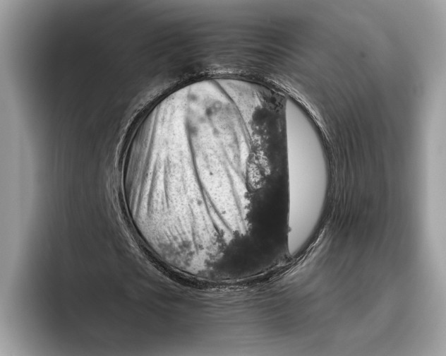 X0000095950721200802011101