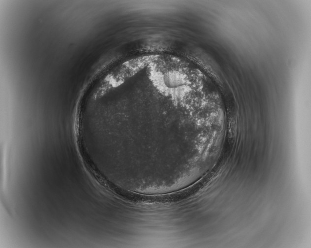 X0000095950722200802011101