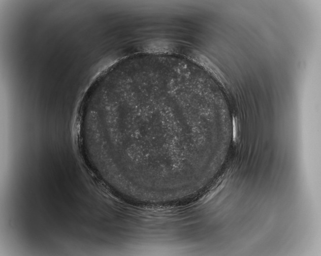 X0000095950723200802011101