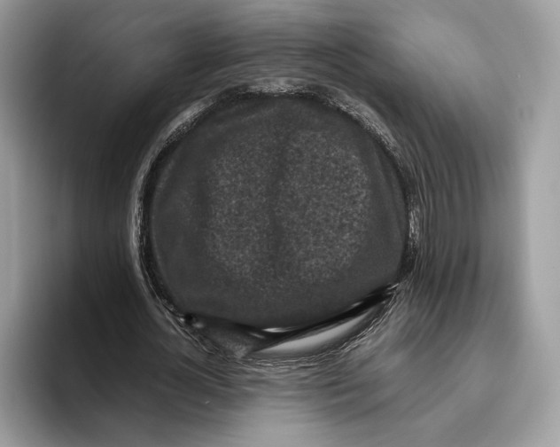 X0000095950724200802011101