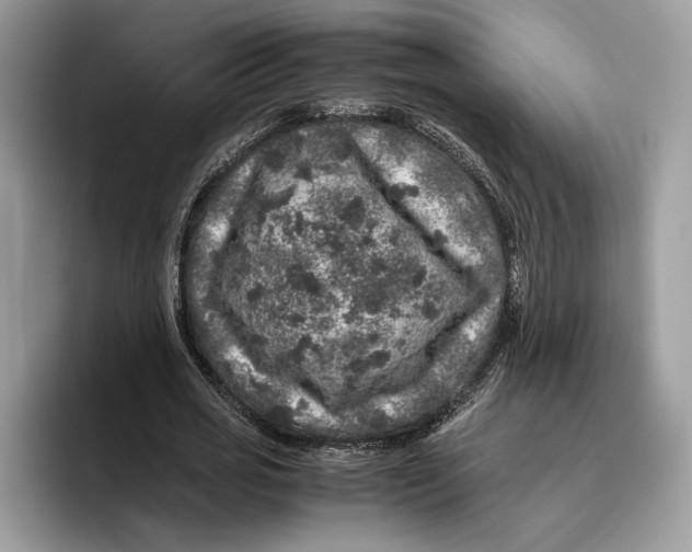 X0000095950725200802011101