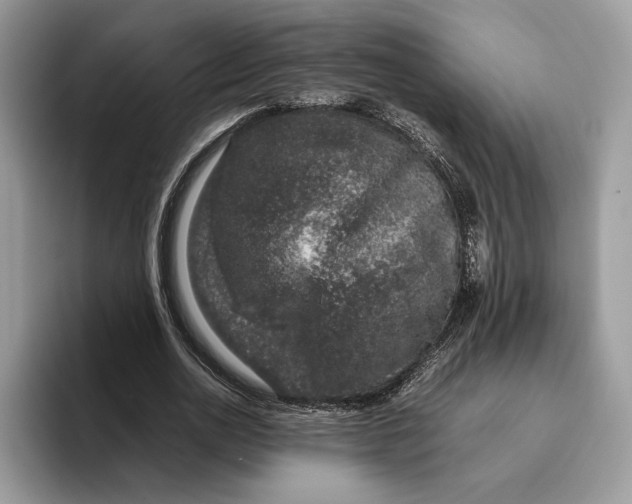 X0000095950726200802011101