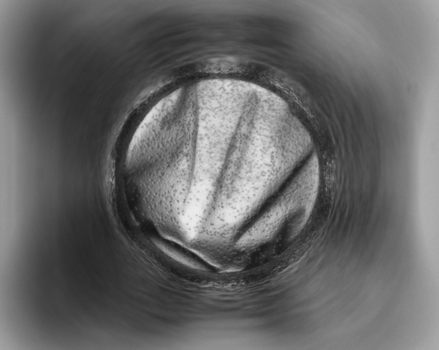 X0000095950727200802011101