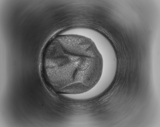 X0000095950728200802011101