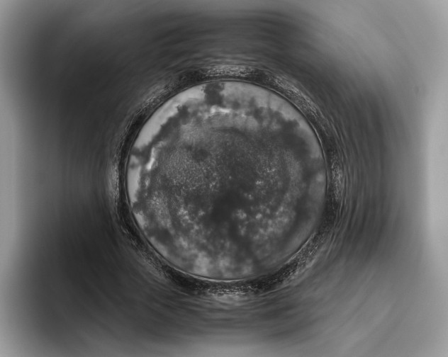 X0000095950729200802011101