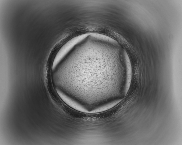 X0000095950730200802011101