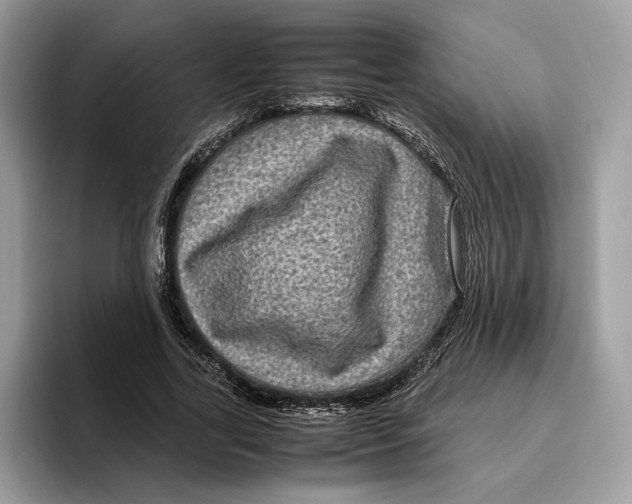 X0000095950731200802011101