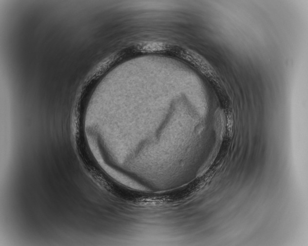 X0000095950732200802011101