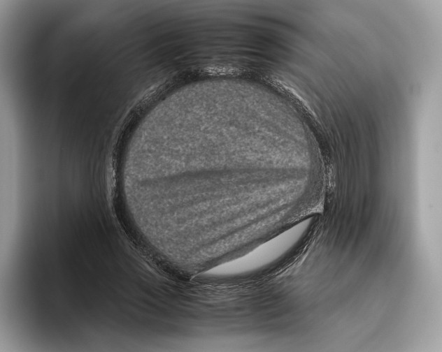 X0000095950733200802011101