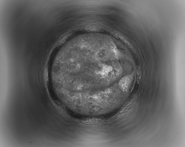 X0000095950734200802011101