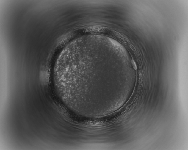 X0000095950735200802011101