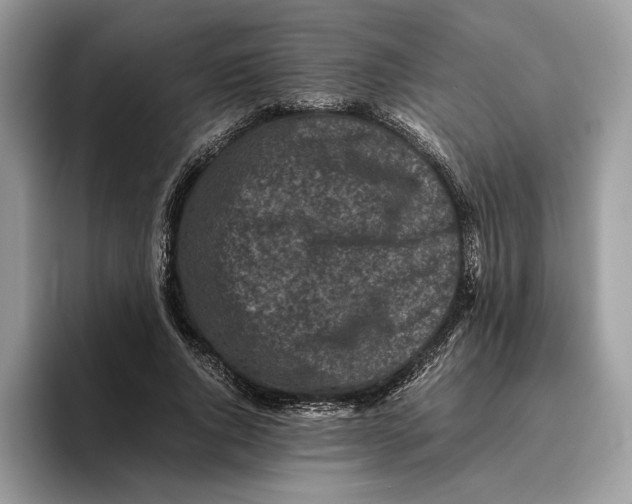 X0000095950736200802011101